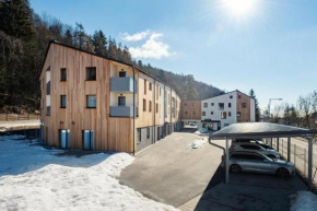 Apartmán v resortu u Špindlerova Mlýna s wellness, Hořejší Vrchlabí